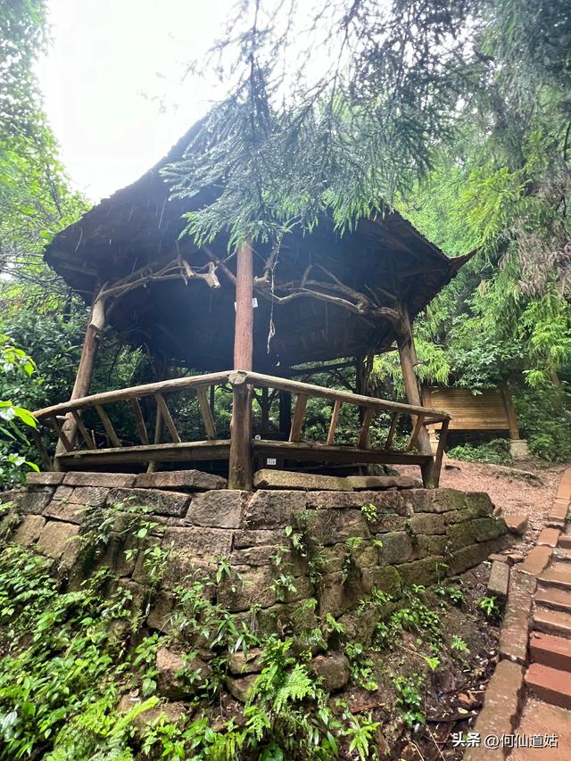 青城山，来过了，说几句