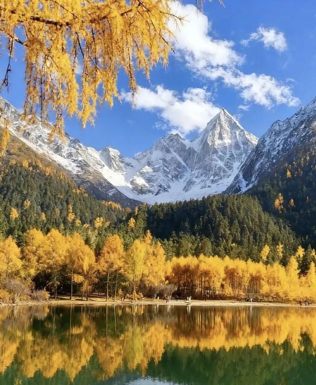 今年理县红叶开挂了！红得惊动天地，美到不可方物