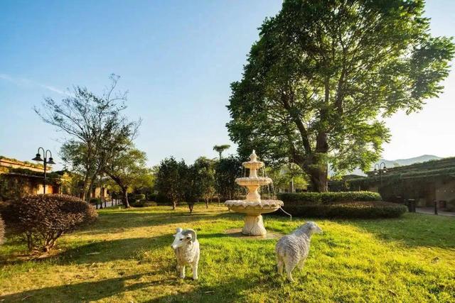 广州从化泡氡温泉！叹山景房+3餐全包+无限温泉，深氧康养平靓正