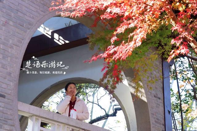 浙江宁波这处城中秘境被人忽略，但是秋色比油画还美，拍照特出片