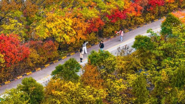 牛郎山，你怎么美成这样！！