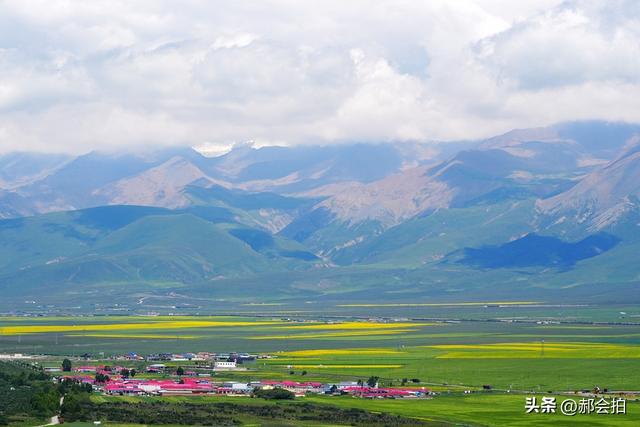 青海门源万亩油菜花海：登上四个观景点，各有风情入画来！