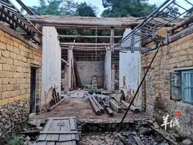 潮州潮安区东兴村:又见茶山 | 大美岭南·百村焕新记