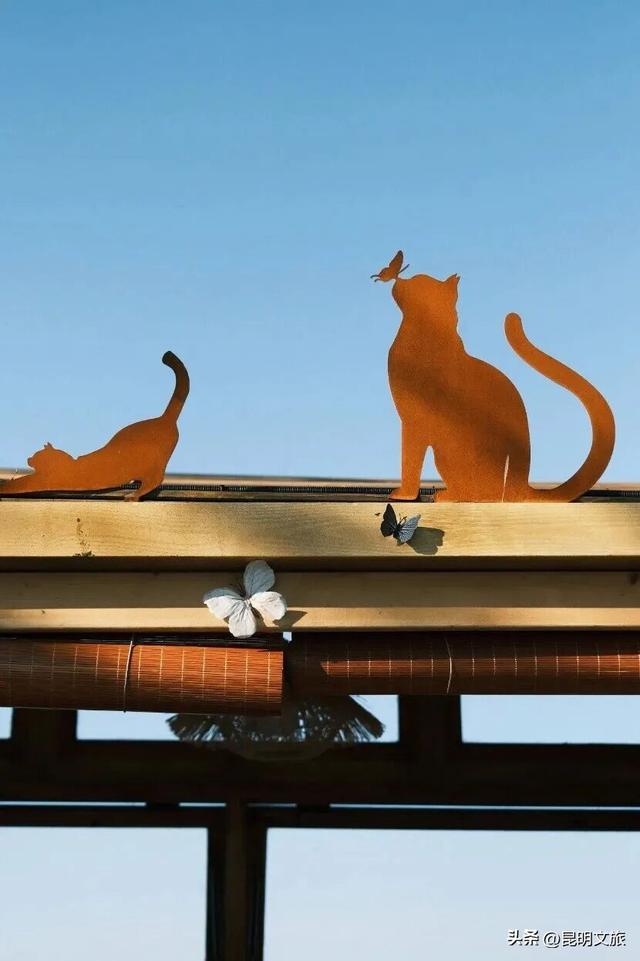 跨年狂欢不止一夜！来昆明带你从白天嗨到晚上，元旦超全活动指南来啦，嗨玩整个假期~