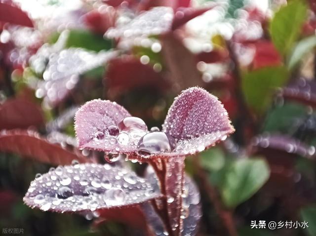 明日“秋分”，老人说最怕“秋分一日雨”，秋分下雨啥预兆？