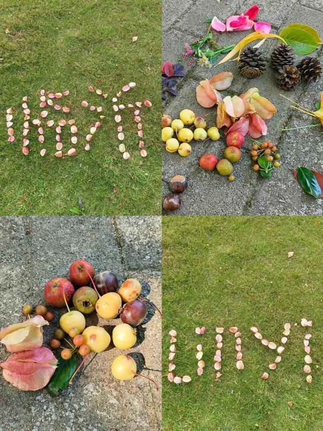 叶落临沂，步步皆是诗意画卷