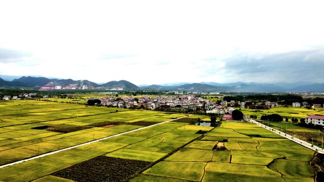 江西吉安的赣江，就是“一条大河波浪宽”里那条大河