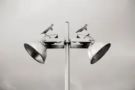 10分钟了解美股指数体系图片