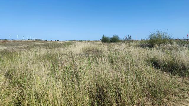 包头天下黄河第一村，靠着黄河边，风景还是不错的