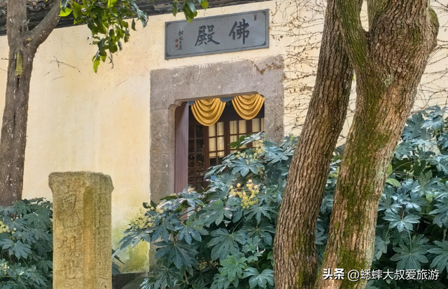 0元打卡杭州千年禅意古刹吧，真万籁此俱寂，为周末放空绝佳之地