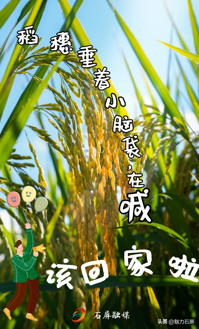 国庆中秋你回家吗？我说的是——石屏！