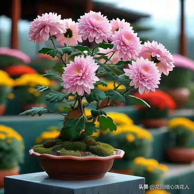 人生若只如初见:55岁后，两性关系的"惜命哲学"