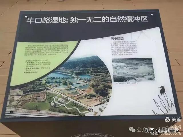邂逅北京房山牛口峪湿地公园：工业废水的生态蝶变｜ 申艳娟