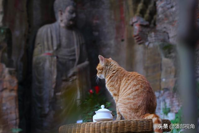 巴蜀石窟：内江东林寺摩崖造像