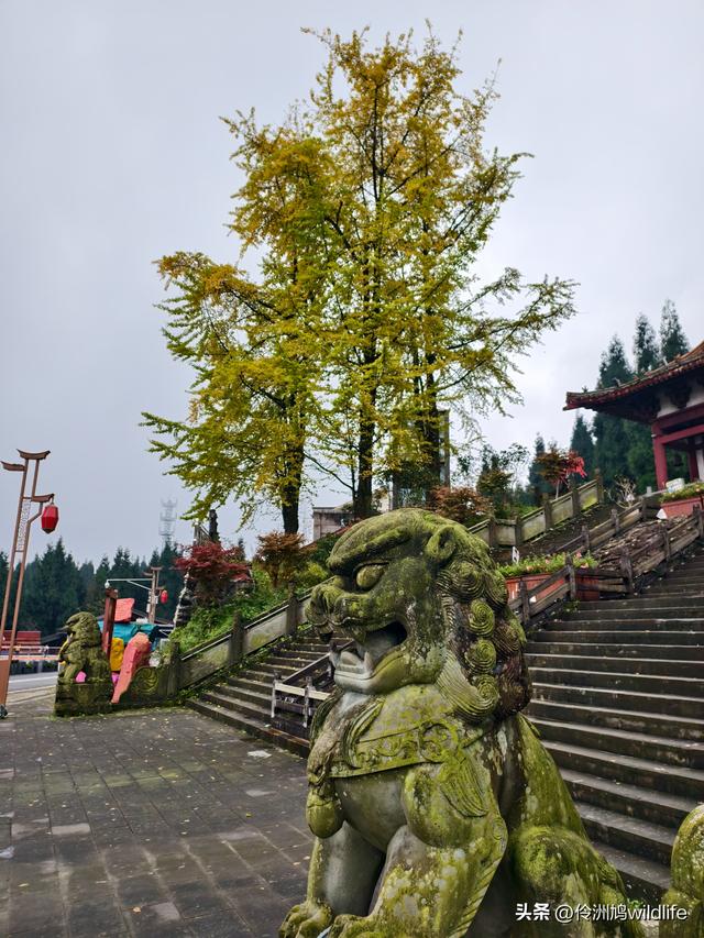 四川行(73)什邡红枫岭徒步到钟鼎寺