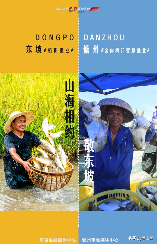 海报｜东坡&儋州：当椰风海韵遇见巴蜀烟雨—— 山海相约 我们何以敬东坡