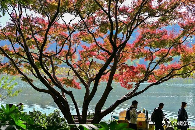 杭州西湖的景色还不错！