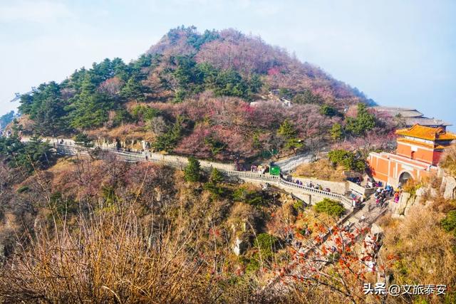 冻到发抖却爽到炸？泰山上的风景，让我懂了什么叫“ 冷并治愈着” ~
