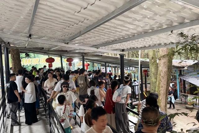 突破3万人次！富阳这里，持续火爆！