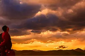 为何建国后共产党不能信神佛 连动物也不能成精？图片