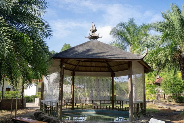 韶关坪田/九峰银杏最佳观赏期到啦！出发，拍满秋天九宫格！