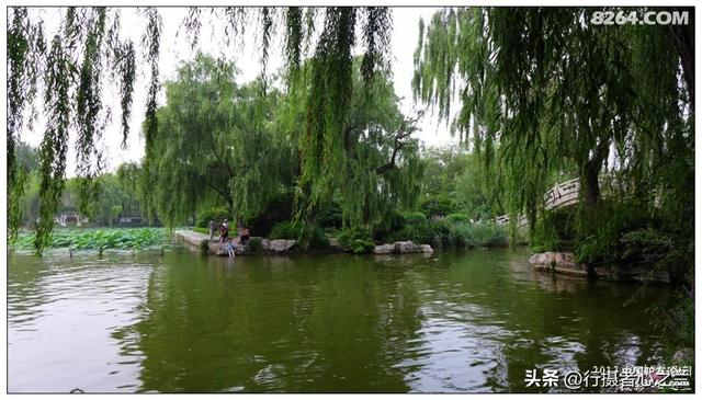 山东行游影记（13）—济南大明湖（二）