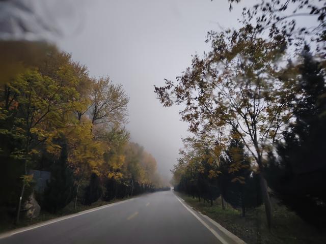 南行漫记：从卢氏走陕西S101红叶大道到南五台服务区露营