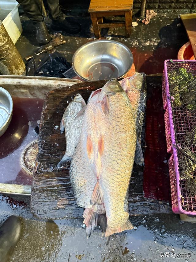 北京自驾长江三峡，神农架之旅（2）