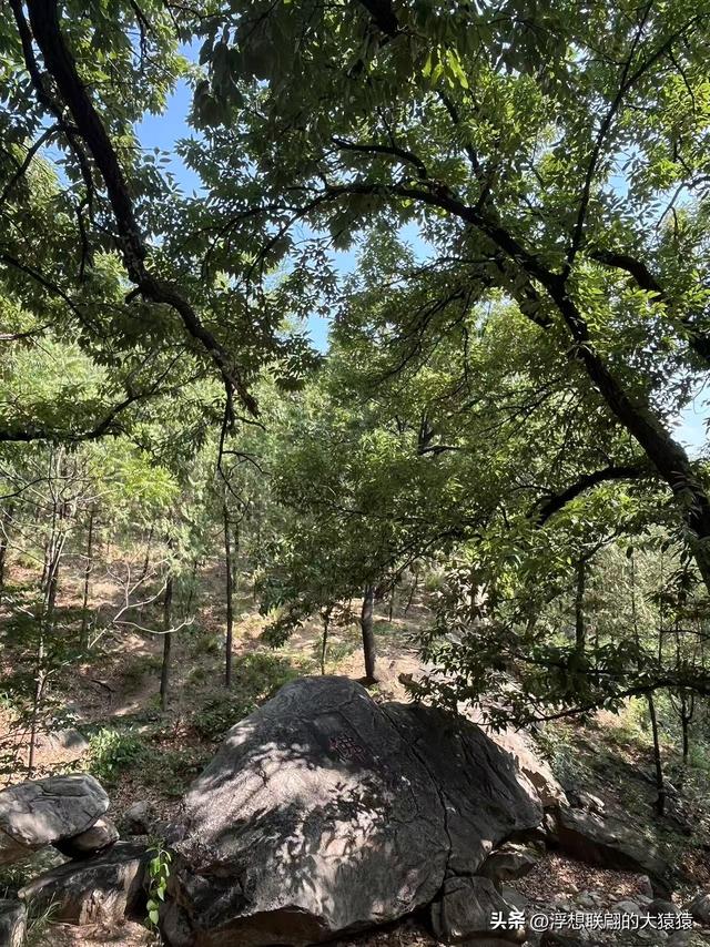 炎炎夏日去泰山西麓曹家庄后山里的隐佛崖打泉水吃炖鸡