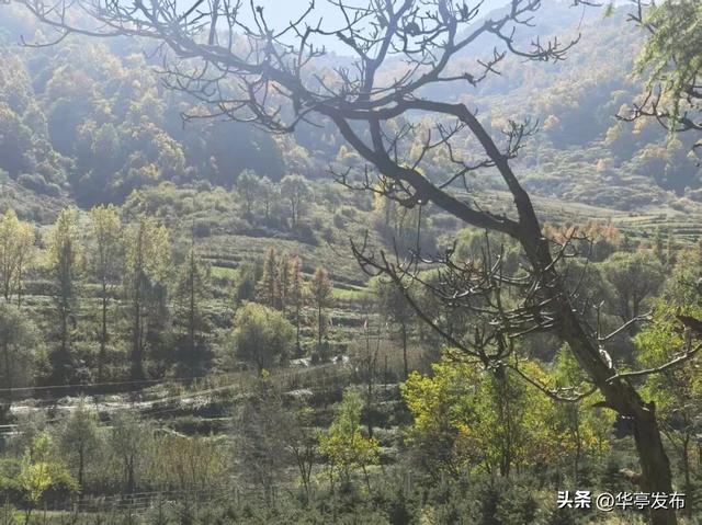 马峡镇车厂沟村：守一库碧水映青山 绘就生态宜居新画卷