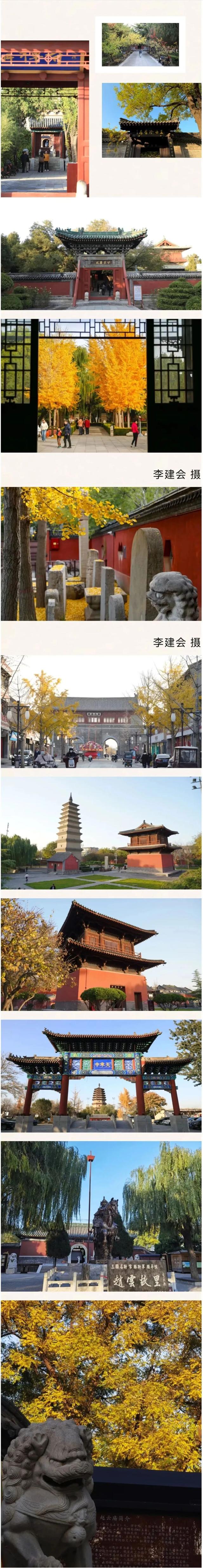 美！这才是正定的初冬“顶流”！