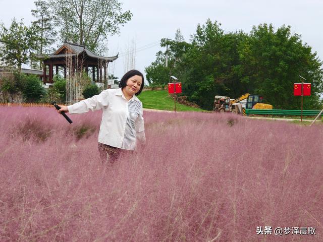 湖北：国庆节网红打卡地 云梦花开十月紫黛草韵染秋色