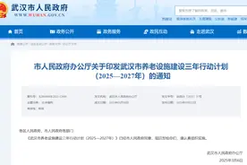 武汉市人民政府发布通知图片