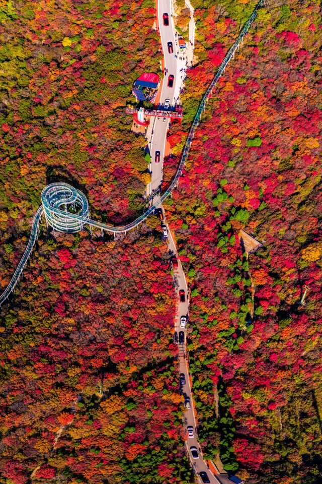 即刻出发，解锁淄博「秋日限定」模式，错过等明年！