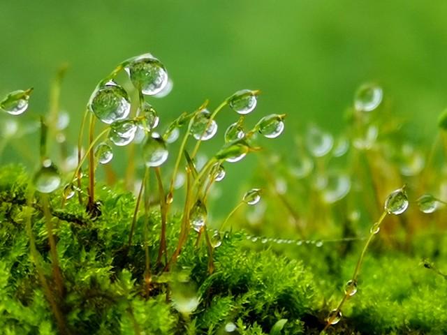 明日寒露不一般，堪称60年一遇，4大特点早了解，记得2物少吃！