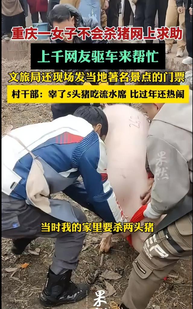 呆呆妹也没想到，杀猪宴收官才1天	， 一家人就走上了大衣哥的老路