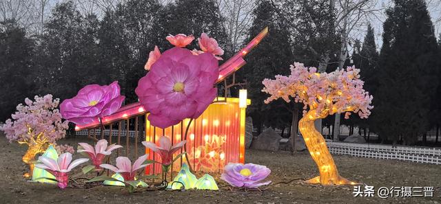 舜德花海新春嘉年华邀您共赏