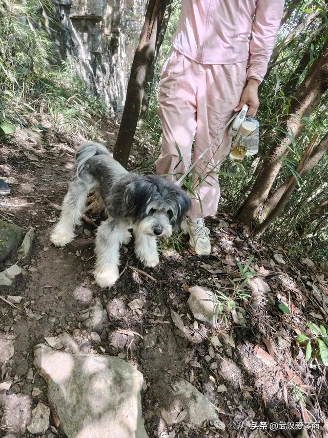徒步利川朝东岩：华中绝壁的震撼与隐忧，环保徒步爱好者的见闻