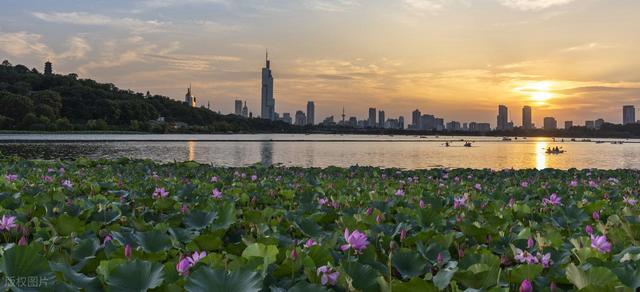 南京最值得去的10个免费景点推荐，不花一分钱玩转金陵城！快码住