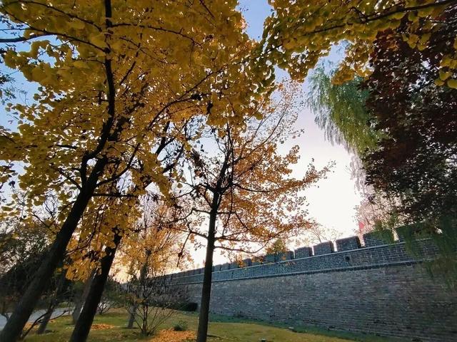 冬天在开封，一定要做这几件事！