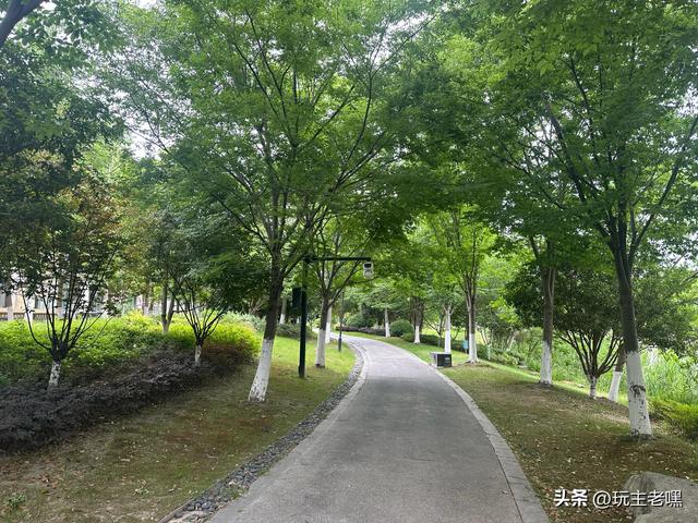 余杭记行9，何母桥