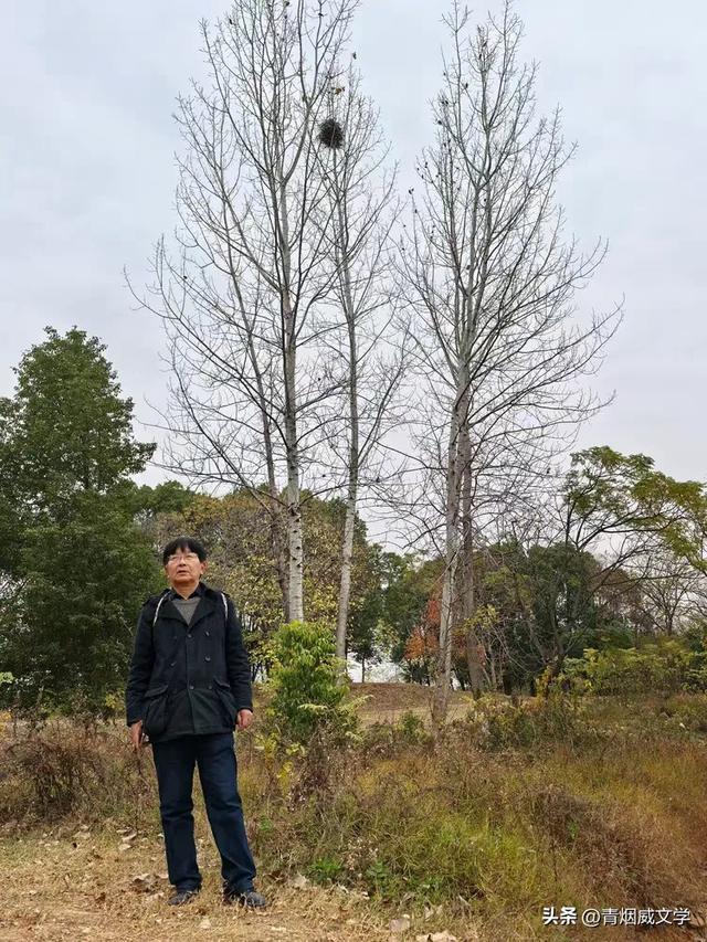 盘龙悠远银杏黄 水中学友情谊长