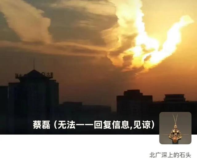 蔡磊：将公开患者治疗的“震撼效果”