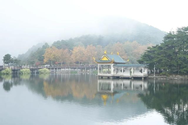 庐山景区开启2025年金秋赏枫季