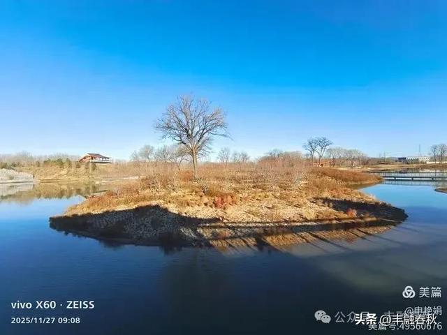 初冬北京玉河湿地公园游记|申艳娟