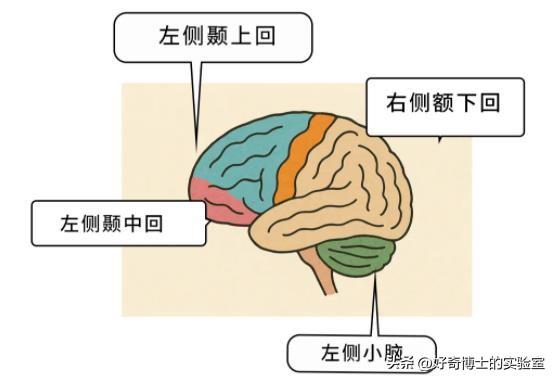 这4种你以为的缺点，其实是智商高的表现！