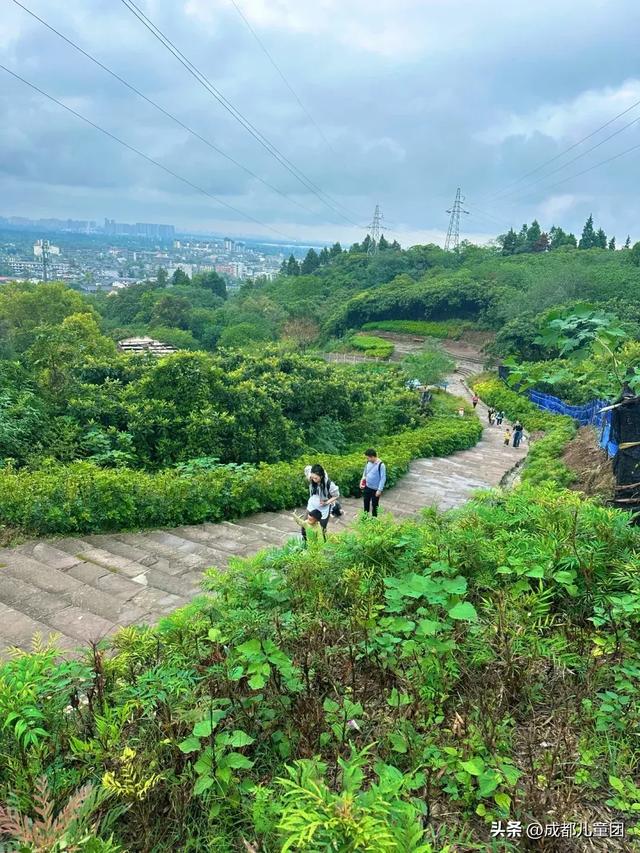 10条初秋徒步线路，去草甸、果园、森林里找秋天