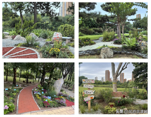 迎双节、促提升，保定市植物园打造高颜值园林景观等您打卡