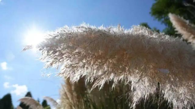 滇池的秋色太撩人！7个 “限定打卡地”，快收藏