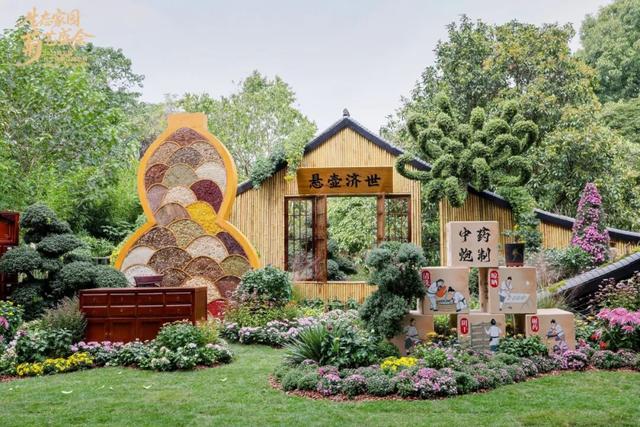 不愧是顶流！一大早就红了，人挤人持续好多天！萧山人家门口也有······